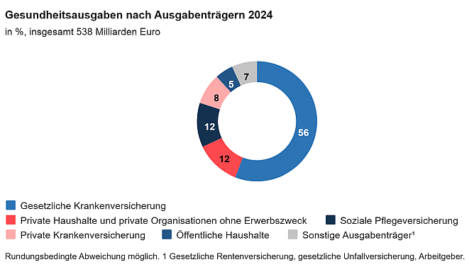 Gesundheitsausgaben 2024 nach Trägern (Bild: Destatis)